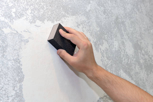Best Water Damage & Mold Remediation  in Mount Carroll, IL