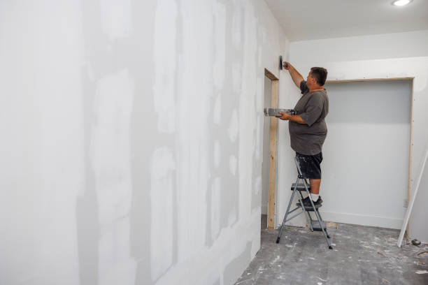 Best Forensic Mold Investigation  in Mount Carroll, IL