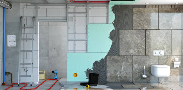 Best Black Mold Removal  in Mount Carroll, IL