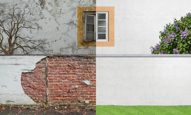 Best Mold Prevention Services  in Mount Carroll, IL