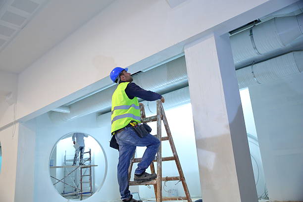 Best Airborne Mold Testing  in Mount Carroll, IL