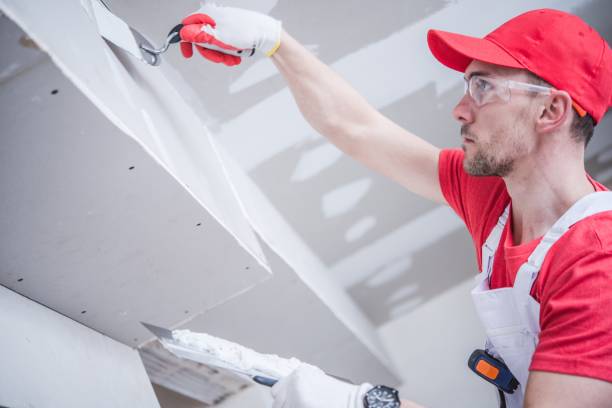 Best Real Estate Mold Inspection  in Mount Carroll, IL